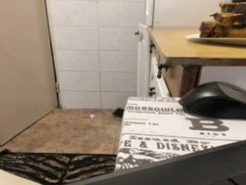 doriancretu95 webcam chaturbate model stream image