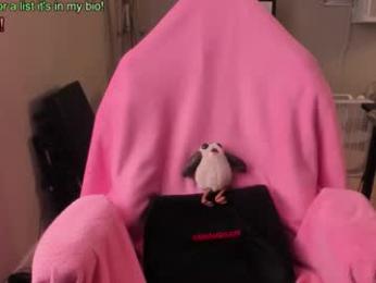 nacmar webcam model stream image