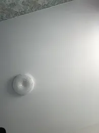 AlishaOfThorns webcam stripchat model stream image