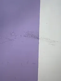 Marianahb-e webcam model stream image