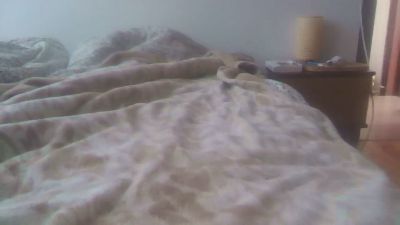 rome26 webcam model stream image