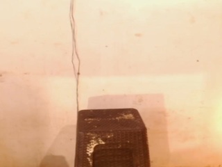 diablaardientex webcam model stream image