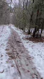 Truespirit webcam model stream image