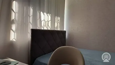 dalvos webcam model stream image