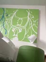 0maxx00 webcam model stream image