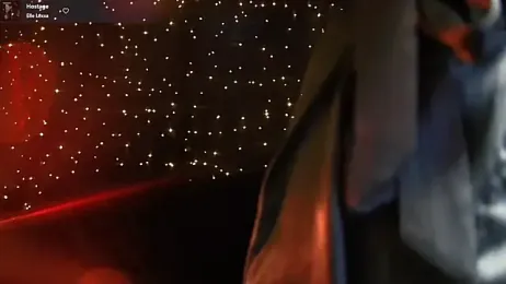 Littlespacemouse webcam model stream image