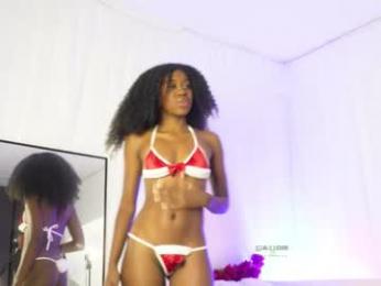 sum___ webcam model stream image