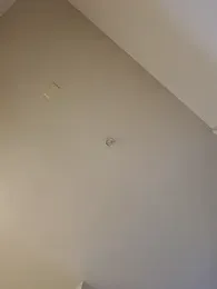 lit702 webcam model stream image