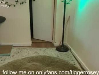 tiggerrosey webcam model stream image