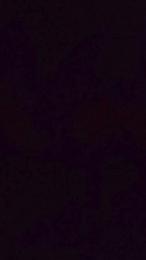 Fredylover webcam model stream image