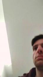 italian_bull1 webcam model stream image