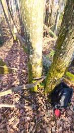 Legtiste webcam model stream image