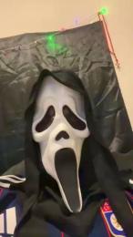 RR69x webcam model stream image