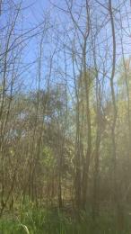 Naturgeil420 webcam cam4 model stream image