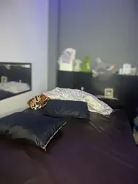 Kailertwink webcam model stream image