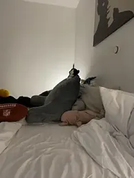 EllyNora webcam model stream image