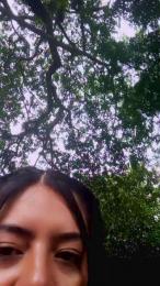 Lindafox99 webcam model stream image