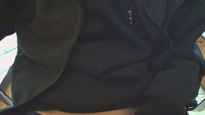 silveplate webcam model stream image