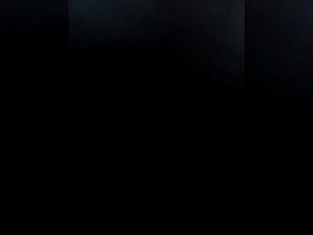 VinPyh webcam model stream image