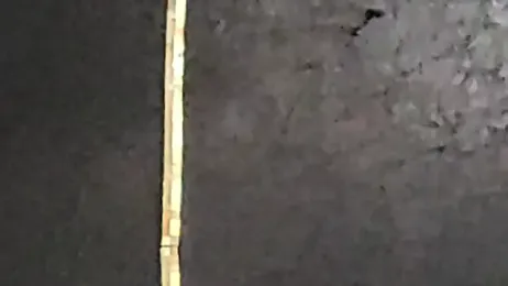 tty420 webcam model stream image