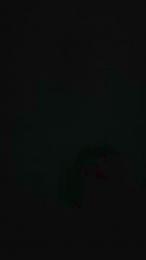 Patatone86 webcam model stream image