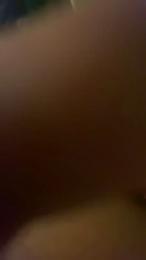 baumstamm webcam model stream image