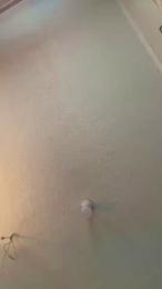 alicepractice5 webcam model stream image