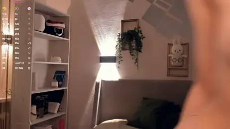 EvaSolisv webcam model stream image