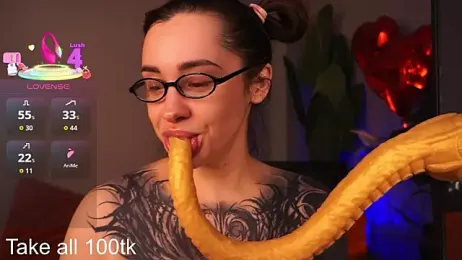 EvaCanton webcam model stream image