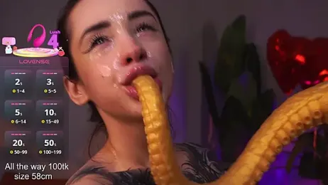 EvaCanton webcam model stream image