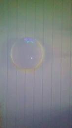 Honeybambi007 webcam model stream image