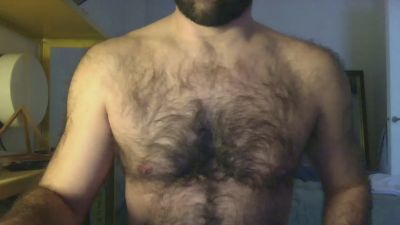 maestroy webcam model stream image