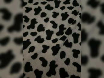 Friends-51 webcam bongacams model stream image