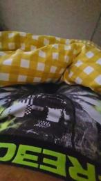 Fbesto04 webcam model stream image