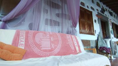 lionscage webcam cam4 model stream image