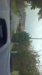 Rmark37 webcam model stream image