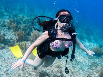 AliceSampaoli webcam model stream image