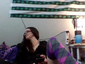 sk_bert webcam model stream image