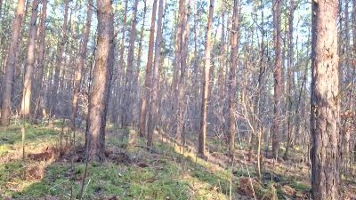 007_Germany webcam model stream image