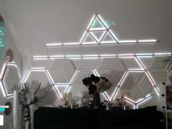 Taanni webcam model stream image