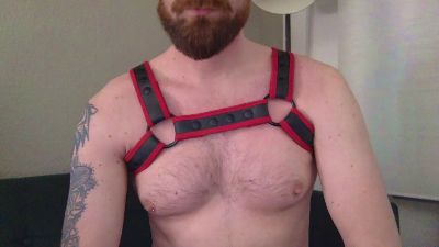 redbearded webcam model stream image