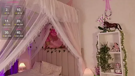 LeraKit webcam model stream image