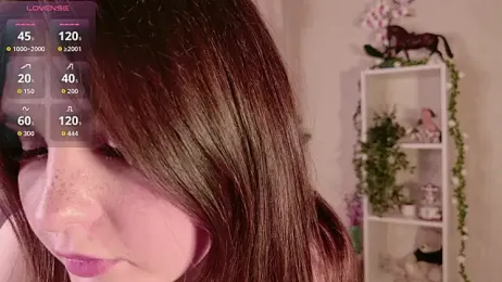 LeraKit webcam model stream image