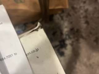 hwdmusclerub webcam camsoda model stream image