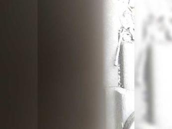 LittlePolish webcam model stream image