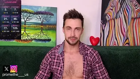 Promethe_us webcam model stream image