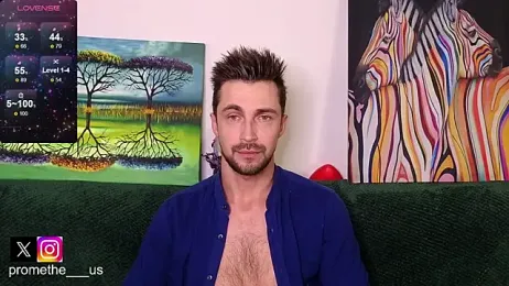 Promethe_us webcam model stream image