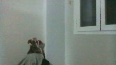 deivideivid1 webcam cam4 model stream image