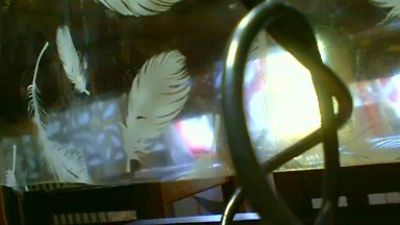 mecchauddu37 webcam model stream image