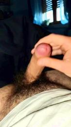 Stan9341 webcam model stream image